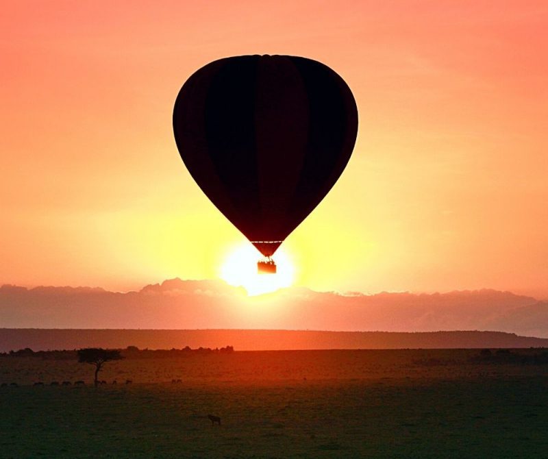 When You Go On A Safari In Africa Such As In Masai Mara National Park You Will Not See The Wildlife From The Ground But You Can Go Up In A Hot Air Balloon To See Africa And Its Animals From Above.
