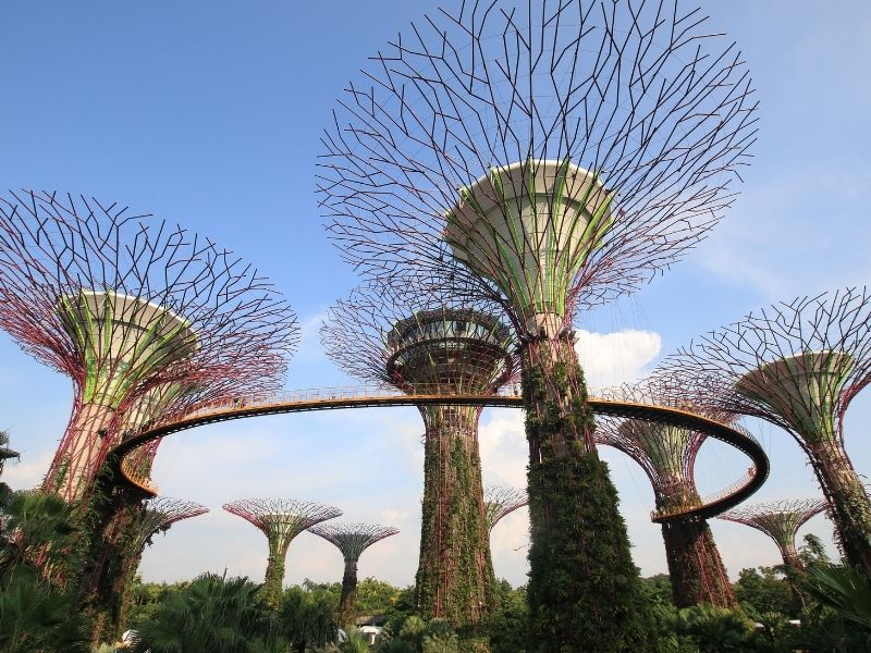 The Tall Man-made Concrete and Metal Trees Stand Very Tall In The Gardens By The Bay.