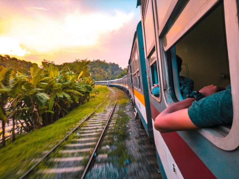 Travellers Sitting On A Train Looking Out Of The Open Windows Checking Out The Jungle View.