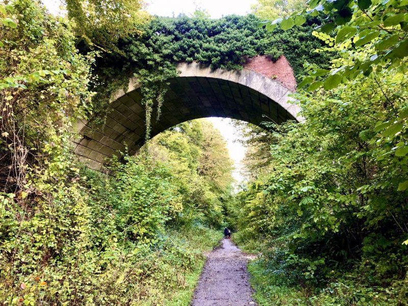 The Moon Valley Trail In Hampshire Is A Lush Valley With Many Walking Trails To Enjoy. Hampshire Is Close To London So You Could Visit For A Day Or Turn Your Visit Into A Weekend London Getaway.