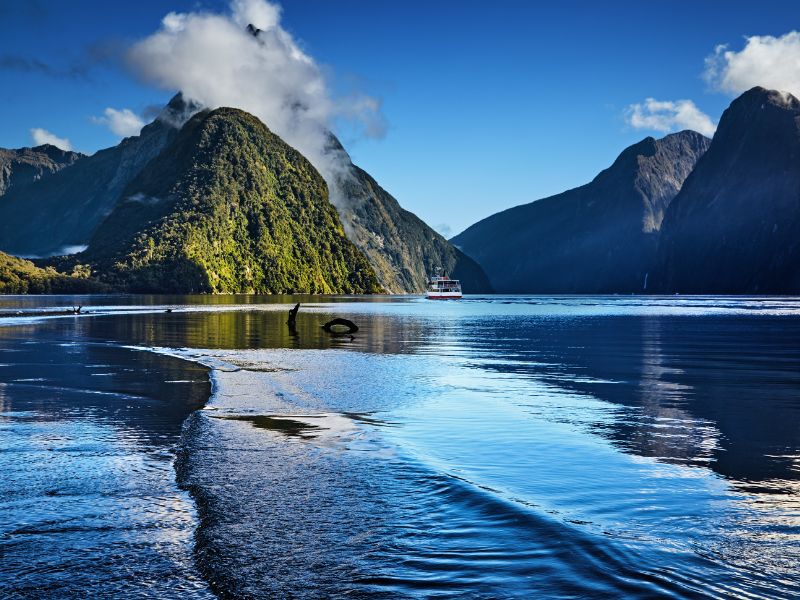 Milford Sound in New Zealand's South Island is a body of water surrounded by tall mountains.