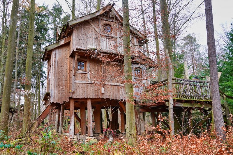 Timber treehouse in the woods is an accommodation option as you work and travel the world.