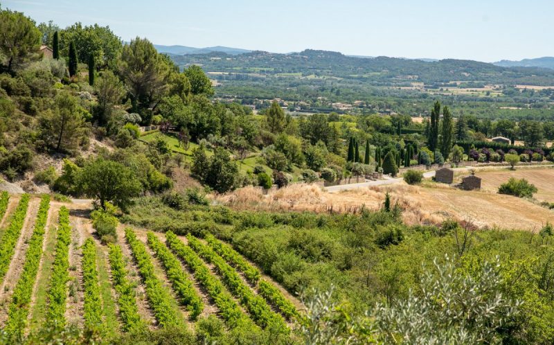 Provence-France-known-for-its-Wine-And-Vineyards