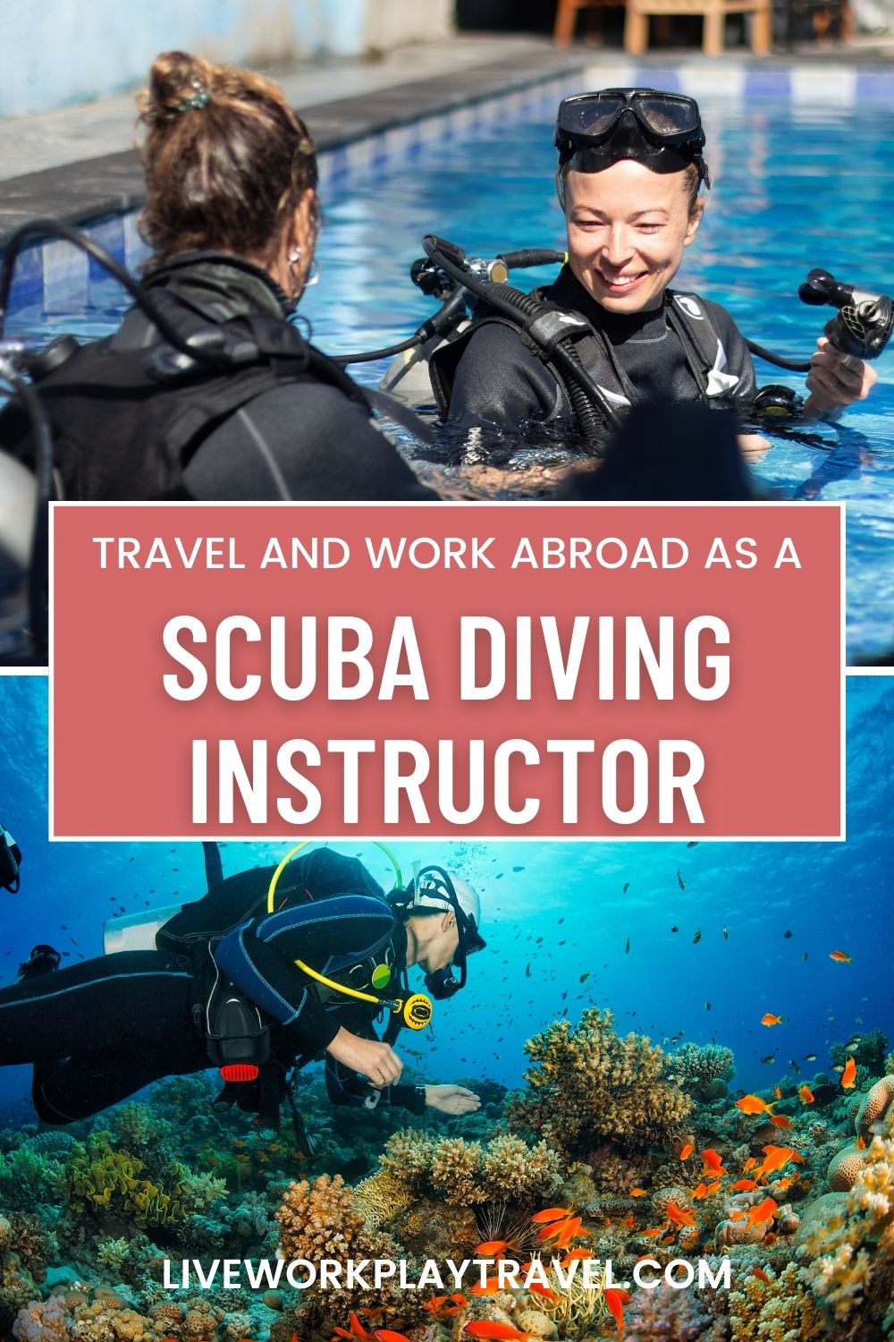 People scuba diving instructors under the sea with beautiful orange coloured fish.