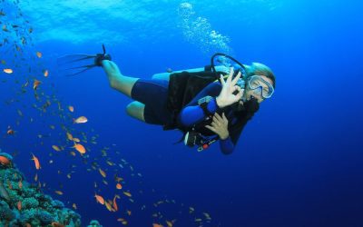 Best Scuba Diving Sites in the World