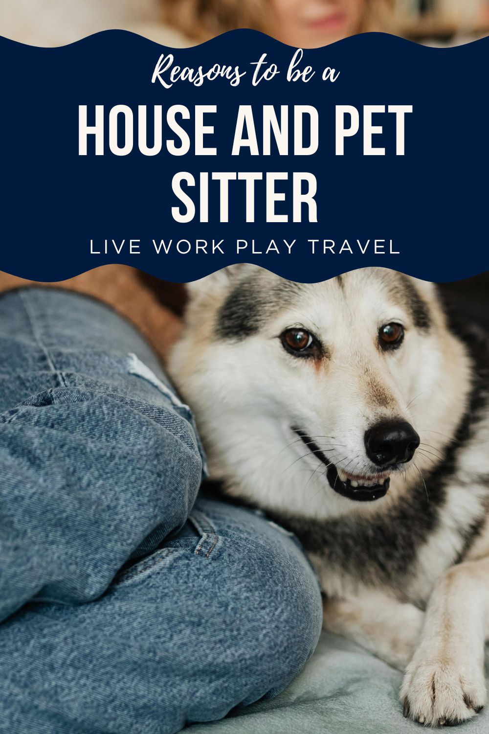 Sharyn and a dog having a cuddle on the couch while pet sitting