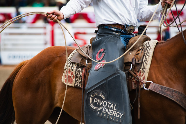 Cowboy on his horse at the Calgary Stampede.