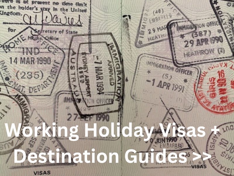 Visa page in a passport showing visa stamps.