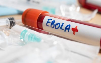 Ebola outbreak 2026: your need to know about travelling to Africa