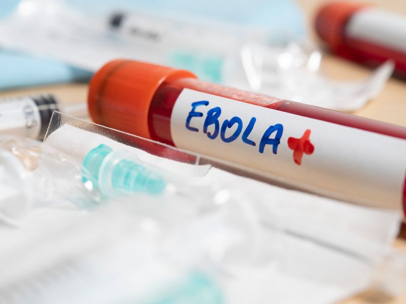 Ebola blood viral